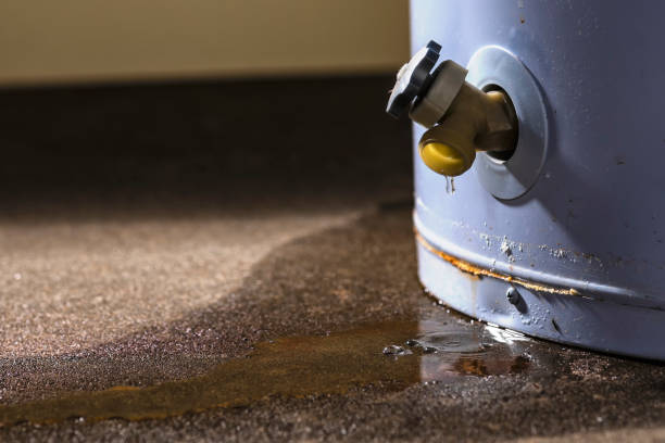 Best 24-hour water damage restoration  in Cutler, CA