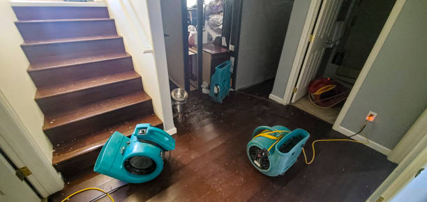  Cutler, CA Water damage restoration Pros
