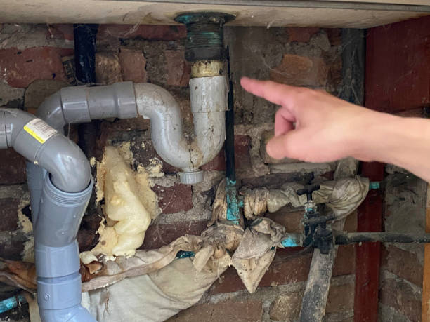 Best Basement water damage restoration  in Cutler, CA